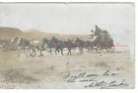 RPPC ~ Stage Crossing the Desert c.1906 Near GOLDFIELD, NEVADA~ Esmeralda County