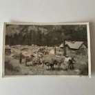 Old RPPC Parchers Rainbow Camp Bishop Creek CA Autos Cabins Pack Team by Frasher